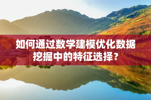 如何通过数学建模优化数据挖掘中的特征选择？