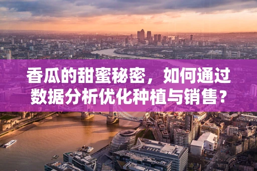 香瓜的甜蜜秘密，如何通过数据分析优化种植与销售？
