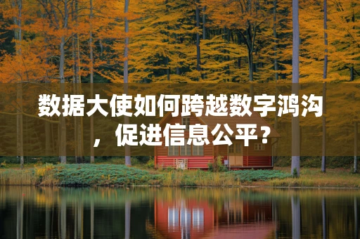数据大使如何跨越数字鸿沟，促进信息公平？