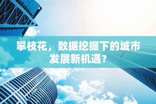 攀枝花，数据挖掘下的城市发展新机遇？