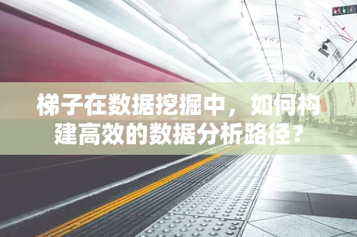 梯子在数据挖掘中，如何构建高效的数据分析路径？