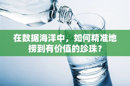 在数据海洋中，如何精准地捞到有价值的珍珠？
