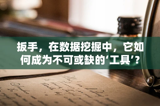 扳手，在数据挖掘中，它如何成为不可或缺的‘工具’？