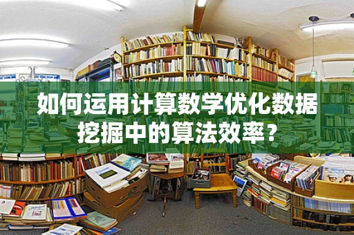 如何运用计算数学优化数据挖掘中的算法效率？