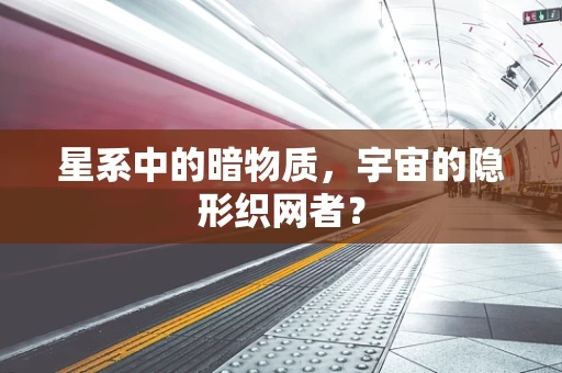 星系中的暗物质，宇宙的隐形织网者？