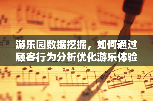 游乐园数据挖掘，如何通过顾客行为分析优化游乐体验？