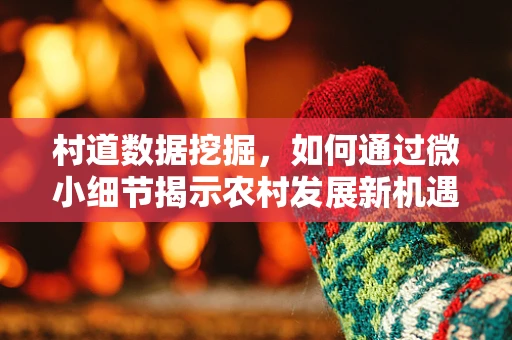 村道数据挖掘，如何通过微小细节揭示农村发展新机遇？