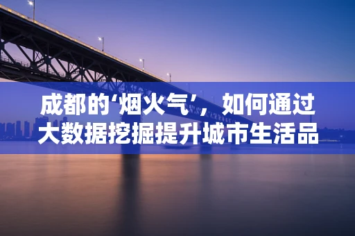 成都的‘烟火气’，如何通过大数据挖掘提升城市生活品质？