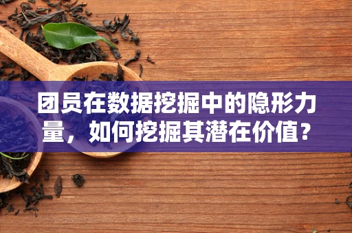 团员在数据挖掘中的隐形力量，如何挖掘其潜在价值？