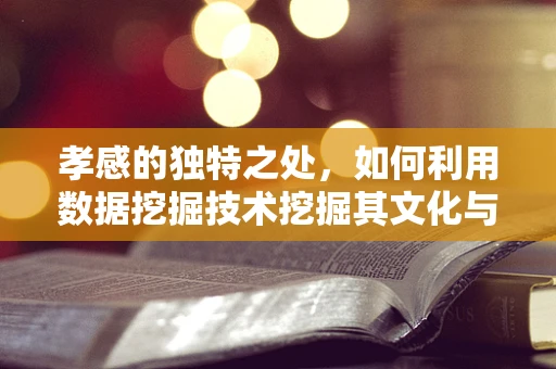孝感的独特之处，如何利用数据挖掘技术挖掘其文化与经济潜力？