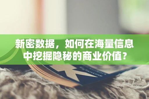 新密数据，如何在海量信息中挖掘隐秘的商业价值？