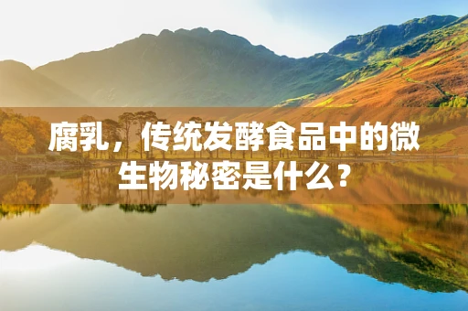 腐乳，传统发酵食品中的微生物秘密是什么？