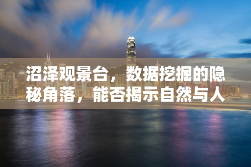 沼泽观景台，数据挖掘的隐秘角落，能否揭示自然与人类互动的秘密？