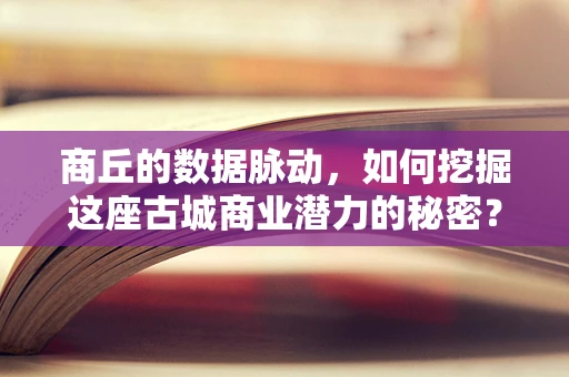 商丘的数据脉动，如何挖掘这座古城商业潜力的秘密？