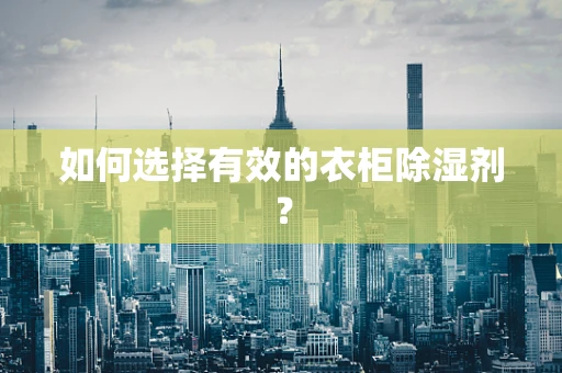 如何选择有效的衣柜除湿剂？