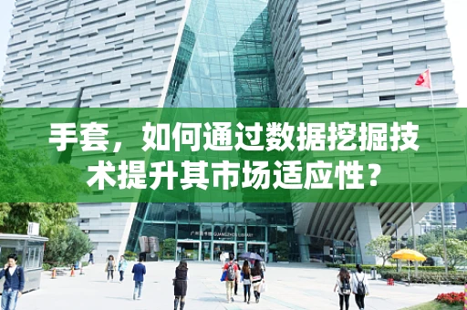 手套，如何通过数据挖掘技术提升其市场适应性？