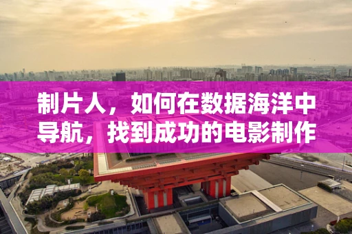 制片人，如何在数据海洋中导航，找到成功的电影制作策略？