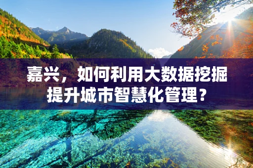 嘉兴，如何利用大数据挖掘提升城市智慧化管理？