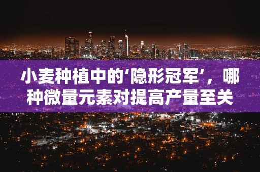 小麦种植中的‘隐形冠军’，哪种微量元素对提高产量至关重要？
