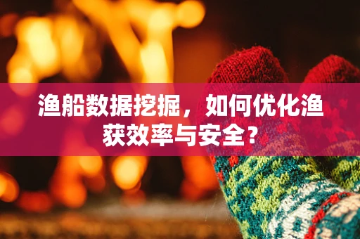 渔船数据挖掘，如何优化渔获效率与安全？
