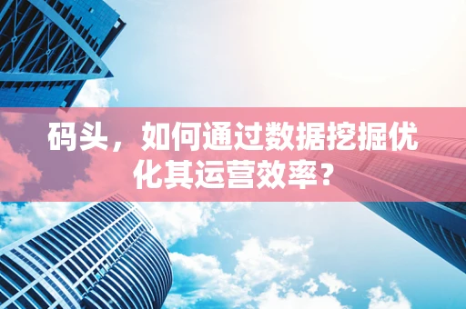 码头，如何通过数据挖掘优化其运营效率？