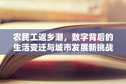 农民工返乡潮，数字背后的生活变迁与城市发展新挑战