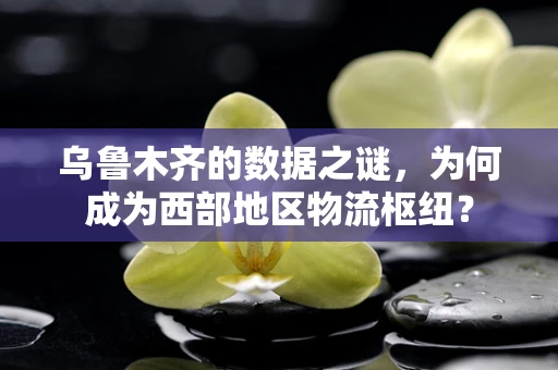 乌鲁木齐的数据之谜，为何成为西部地区物流枢纽？