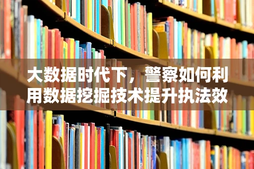 大数据时代下，警察如何利用数据挖掘技术提升执法效率？
