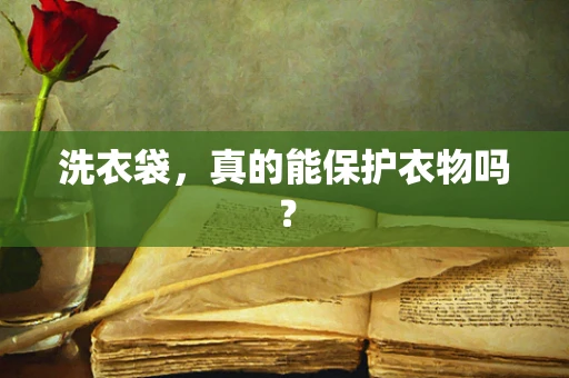 洗衣袋，真的能保护衣物吗？