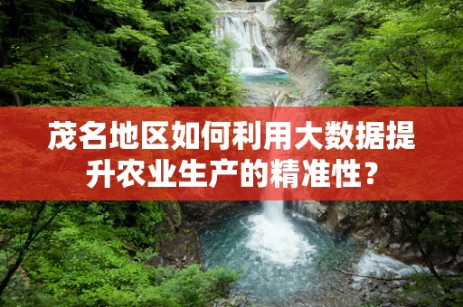 茂名地区如何利用大数据提升农业生产的精准性？
