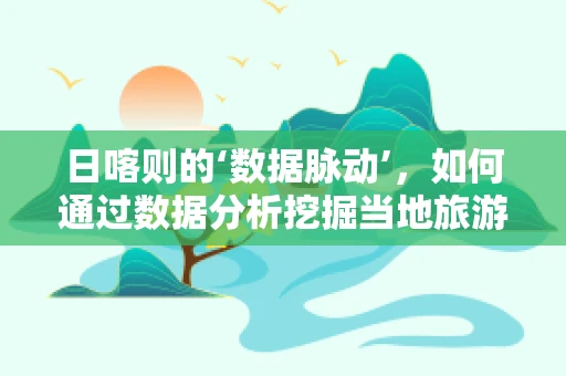 日喀则的‘数据脉动’，如何通过数据分析挖掘当地旅游潜力？