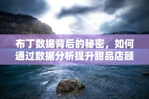 布丁数据背后的秘密，如何通过数据分析提升甜品店顾客满意度？