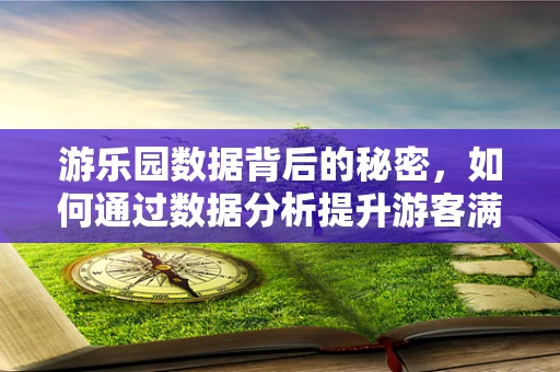 游乐园数据背后的秘密，如何通过数据分析提升游客满意度？