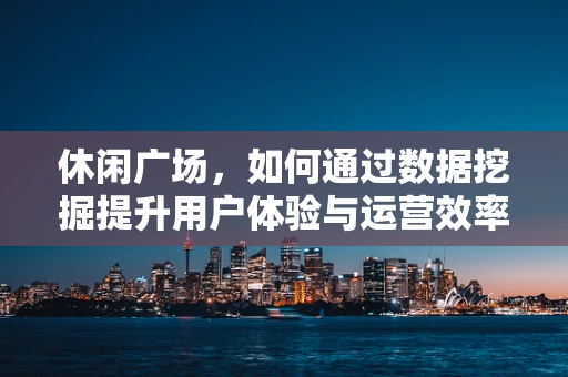 休闲广场，如何通过数据挖掘提升用户体验与运营效率？