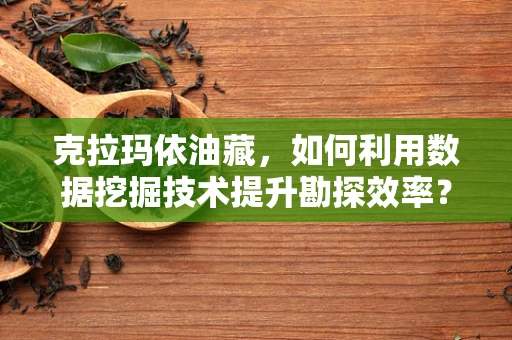 克拉玛依油藏，如何利用数据挖掘技术提升勘探效率？