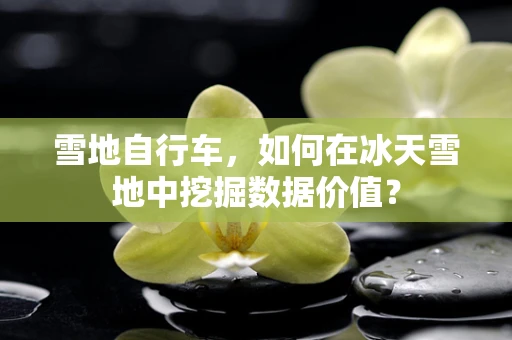 雪地自行车，如何在冰天雪地中挖掘数据价值？