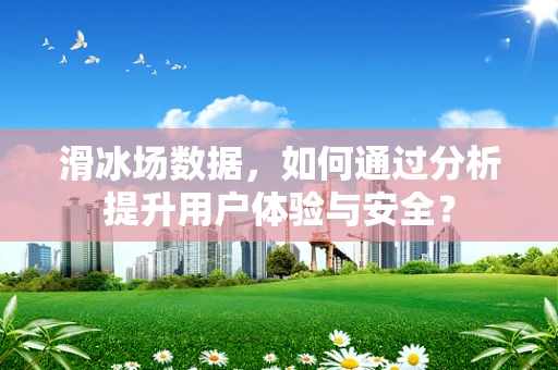 滑冰场数据，如何通过分析提升用户体验与安全？