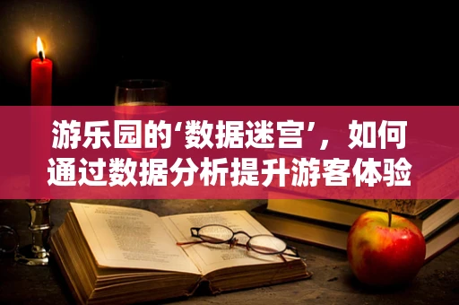 游乐园的‘数据迷宫’，如何通过数据分析提升游客体验？