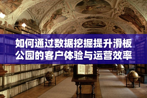 如何通过数据挖掘提升滑板公园的客户体验与运营效率？