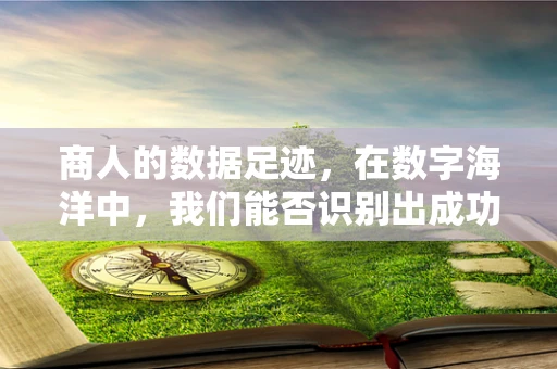 商人的数据足迹，在数字海洋中，我们能否识别出成功的秘诀？
