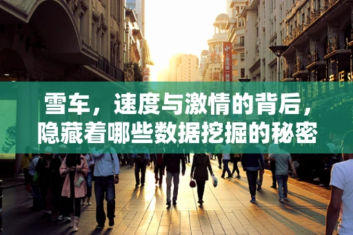 雪车，速度与激情的背后，隐藏着哪些数据挖掘的秘密？