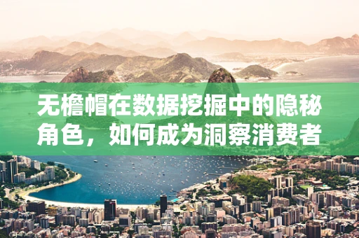 无檐帽在数据挖掘中的隐秘角色，如何成为洞察消费者偏好的关键？
