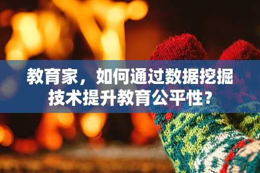 教育家，如何通过数据挖掘技术提升教育公平性？