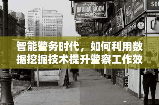 智能警务时代，如何利用数据挖掘技术提升警察工作效率？