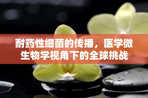 耐药性细菌的传播，医学微生物学视角下的全球挑战