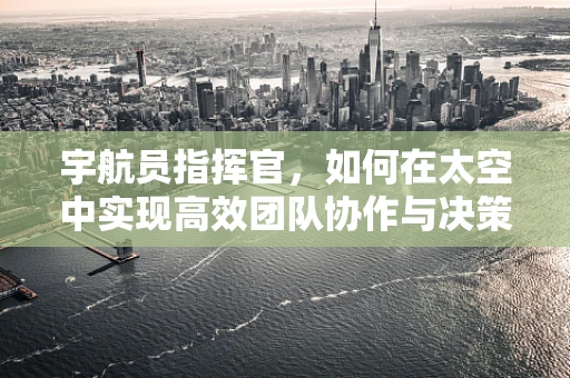 宇航员指挥官，如何在太空中实现高效团队协作与决策？