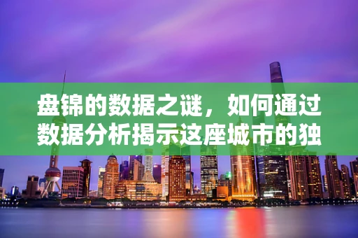 盘锦的数据之谜，如何通过数据分析揭示这座城市的独特魅力？