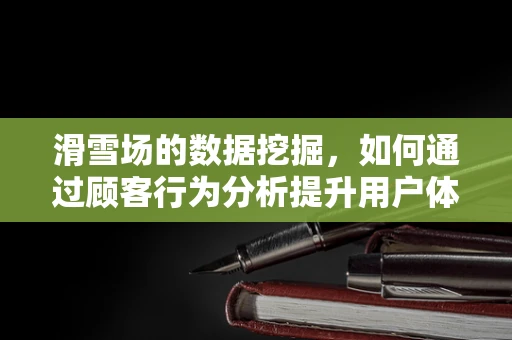 滑雪场的数据挖掘，如何通过顾客行为分析提升用户体验？