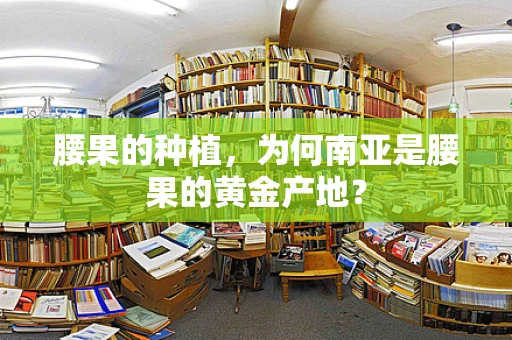 腰果的种植，为何南亚是腰果的黄金产地？