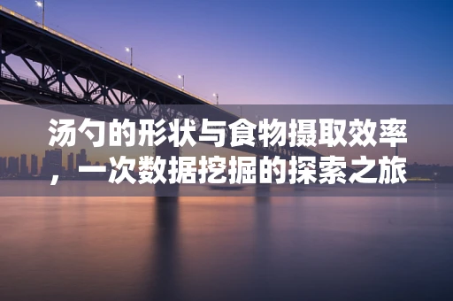 汤勺的形状与食物摄取效率，一次数据挖掘的探索之旅